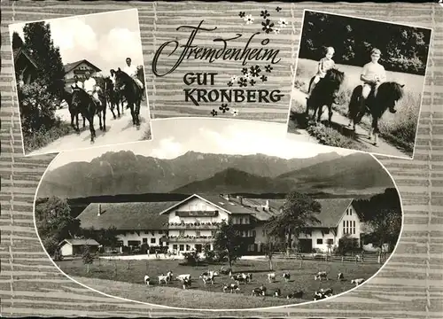 Kronberg Hoeslwang Fremdenheim Reiterhof Gut Kronberg Pferd Pony