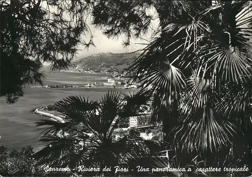 Sanremo Veduta panoramica di stile tropicale Riviera dei Fiori Porto Kat. Italien
