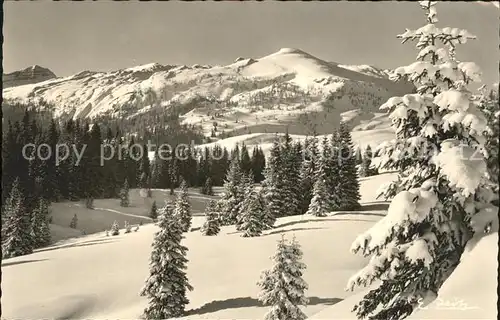 Winklmoos Winkelmoos Wintersportplatz Kammerkoer / Reit im Winkl /Traunstein LKR