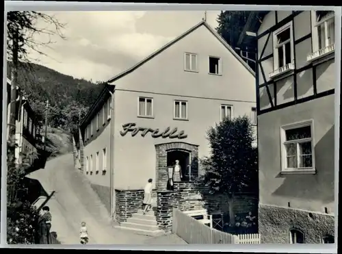 Quelitz Quelitz Feierabendheim Forelle  * / Unterweissbach /Saalfeld-Rudolstadt LKR