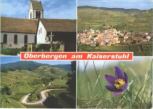 Oberbergen Vogtsburg Oberbergen  * / Vogtsburg im Kaiserstuhl /Breisgau-Hochschwarzwald LKR