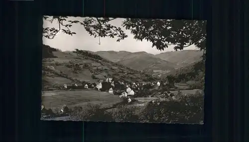 Seebach Ottenhoefen Schwarzwald  / Ottenhoefen im Schwarzwald /Ortenaukreis LKR