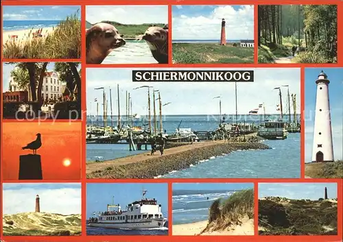 Schiermonnikoog Strand Seehund Leuchtturm Wanderweg Hafen Schiff Duene Kat. Niederlande