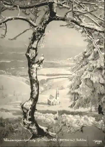 Gruenwald Schlesien Winter *