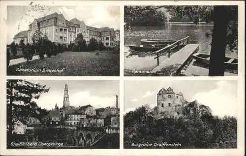 Greiffenberg Schlesien Sanatorium Birkenhof x
