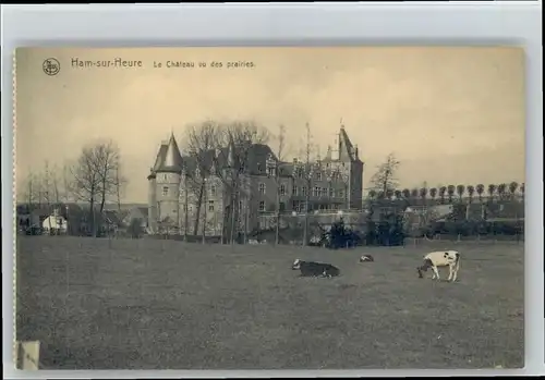 Ham-sur-Heure Ham-sur-Heure Chateau Prairies * /  /