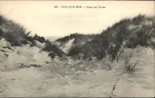 Le Coq Le Coq Dunes * /  /