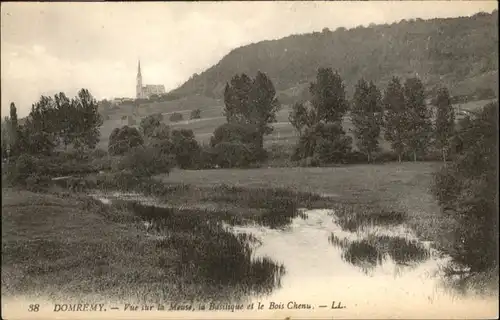 Domremy-la-Pucelle Vosges Meuse Basilique Bois Chenu * / Domremy-la-Pucelle /Arrond. de Neufchateau