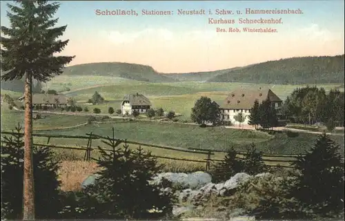 Schollach Eisenbach Hammereisenbach Kurhaus Schneckenhof * / Eisenbach (Hochschwarzwald) /Breisgau-Hochschwarzwald LKR