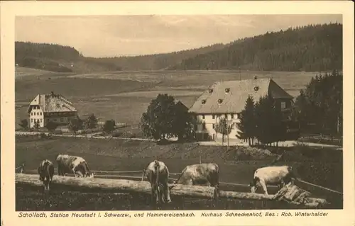 Schollach Eisenbach Hammereisenbach Kurhaus Schneckenhof * / Eisenbach (Hochschwarzwald) /Breisgau-Hochschwarzwald LKR