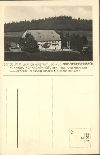Schollach Eisenbach Hammereisenbach Kurhaus Schneckenhof * / Eisenbach (Hochschwarzwald) /Breisgau-Hochschwarzwald LKR