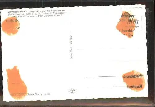 Muenstertal Schwarzwald Almgaststaette Kaelbelescheuer / Muenstertal /Breisgau-Hochschwarzwald LKR
