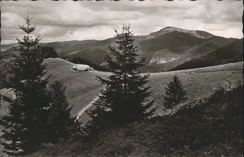 Muenstertal Schwarzwald Almgaststaette Kaelbelescheuer / Muenstertal /Breisgau-Hochschwarzwald LKR