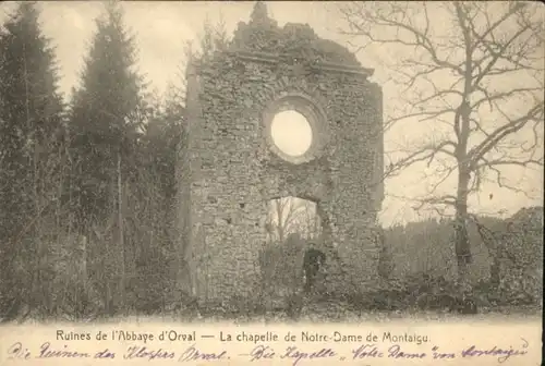 Luxemburg Wallonie Orval Ruines Abbaye Cahpelle Notre Dame Montaigu * / Aarle /Aarlen