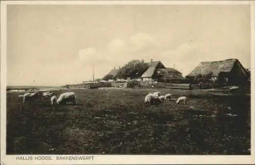 Hooge Hallig Hooge Hallig Bakkenswerft * / Hooge /Nordfriesland LKR