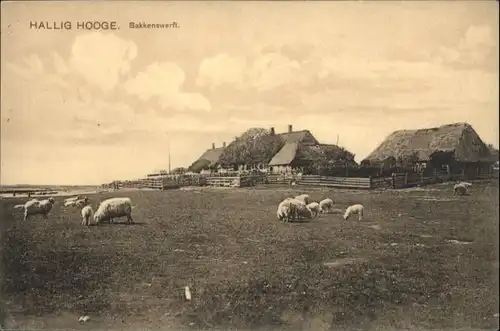 Hooge Hallig Hooge Hallig Bakkenswerft * / Hooge /Nordfriesland LKR