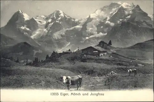 Eiger Grindelwald Kuh Moench Jungfrau * / Eiger /Rg. Grindelwald