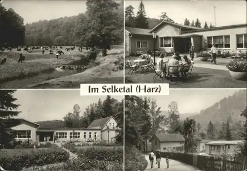 Falkenstein Harz Selketal Ferienheim Selkemuehle * / Falkenstein Harz /Harz LKR