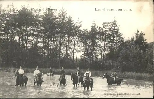 Beverloo Camp Chevaux Bain Pferd x