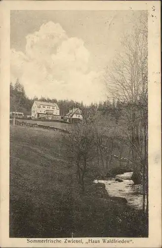 Zwiesel Bad Gottleuba-Berggiesshuebel Haus Waldfrieden x / Bad Gottleuba-Berggiesshuebel /Saechsische Schweiz-Osterzgebirge LKR