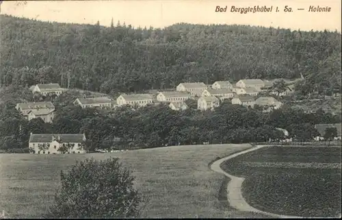 Bad Berggiesshuebel Kolonie x