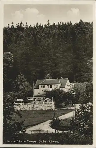 Zwiesel Bad Gottleuba-Berggiesshuebel  / Bad Gottleuba-Berggiesshuebel /Saechsische Schweiz-Osterzgebirge LKR