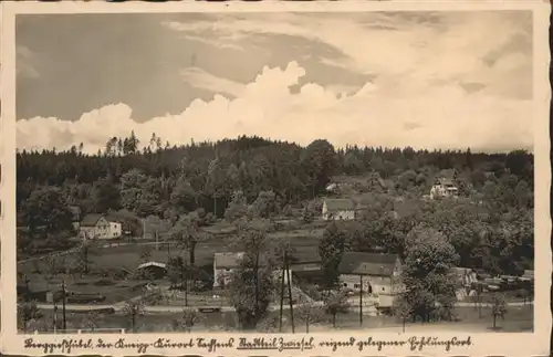 Zwiesel Bad Gottleuba-Berggiesshuebel  / Bad Gottleuba-Berggiesshuebel /Saechsische Schweiz-Osterzgebirge LKR