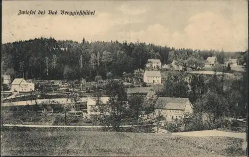 Zwiesel Bad Gottleuba-Berggiesshuebel  / Bad Gottleuba-Berggiesshuebel /Saechsische Schweiz-Osterzgebirge LKR