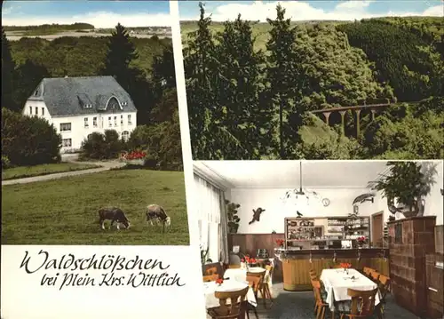Plein Pfalz Plein Waldschloesschen Kreis Wittlich Hotel Restaurant  * / Plein /Bernkastel-Wittlich LKR