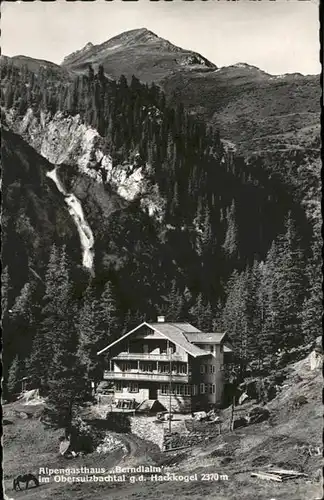 Neukirchen Grossvenediger Alpen Gasthaus Berndlalm Pferd Hackkogel / Neukirchen am Grossvenediger /Pinzgau-Pongau