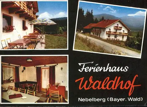 Nebelberg Langdorf Ferienhaus Waldhof / Langdorf /Regen LKR