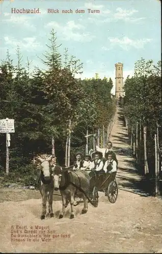 Hochwald Zittau Aussichtsturm / Zittau /Goerlitz LKR