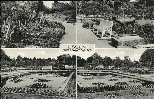 Essen Ruhr Botanischer Garten / Essen /Essen Stadtkreis