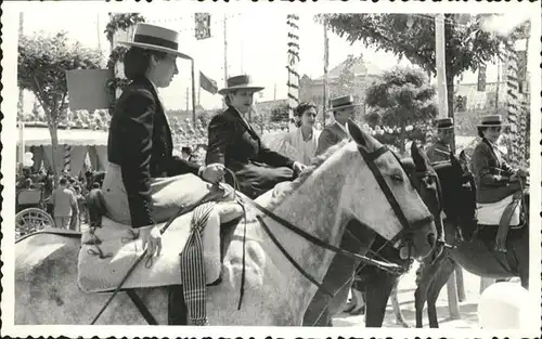 Sevilla Andalucia Pferd / Sevilla  /