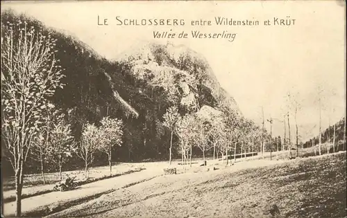 Wildenstein Kaernten Schlossberg
Kruet
Vallee de Wesserling /  /