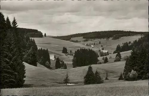 Escheck Balsertal / Schoenwald im Schwarzwald /Schwarzwald-Baar-Kreis LKR