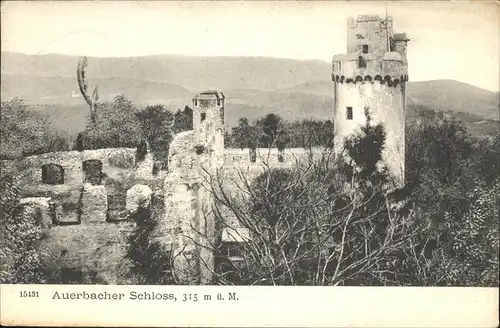 Schloss Auerbach  /  /