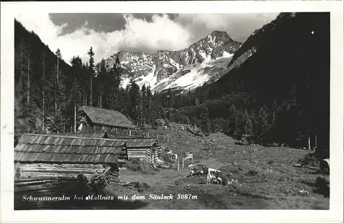 Mallnitz Kaernten Schwussneralm /  /