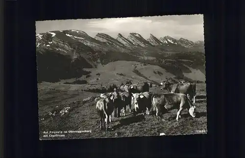 Toggenburg Obertoggenburg
Frosalp
Churfirsten / St Gallen /Bz. St. Gallen City