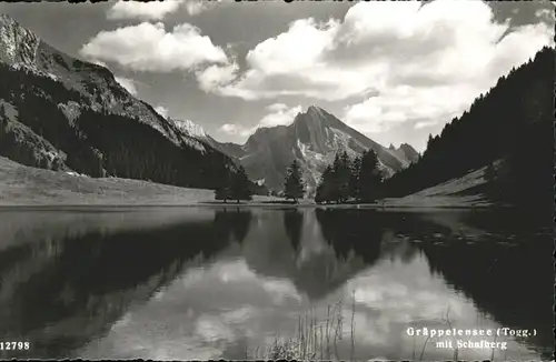 Alt St Johann Schafberg Graeppelensee / Alt St Johann /Bz. Toggenburg