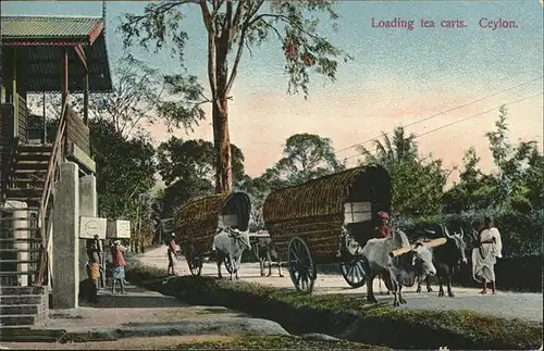Ceylon = Sri Lanka Loading tea carts