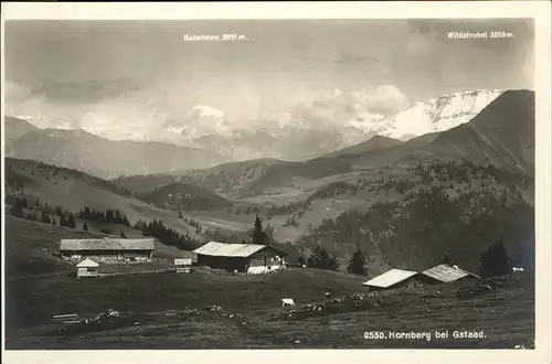 Hornberg Saanenmoeser Wildstrubel Balmhorn /  /