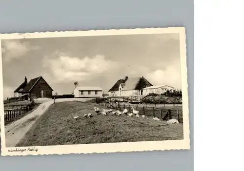 Reussenkoege Hamburger Hallig / Reussenkoege /Nordfriesland LKR