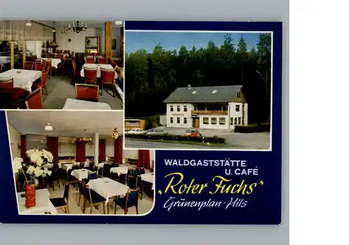 Gruenenplan Gaststaette - Cafe Roter Fuchs / Delligsen /Holzminden LKR