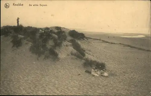 Knokke-sur-Mer De wilde Dujnen Kat. 