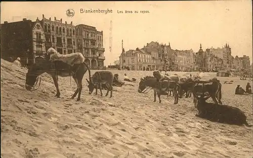 Blankenberghe West-Vlaanderen LEs anes au repos Esel