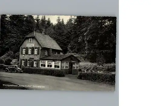 Gruenenplan Waldgasthaus Roter Fuchs  / Delligsen /Holzminden LKR