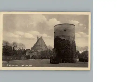 Salzwedel Burgturm / Salzwedel /Altmarkkreis Salzwedel LKR