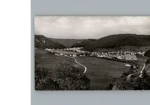 Fridingen Donau  / Fridingen an der Donau /Tuttlingen LKR