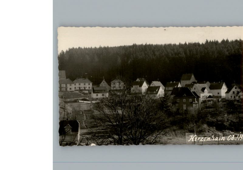 Hirzenhain Wetteraukreis / Hirzenhain /Wetteraukreis LKR Nr. k132276